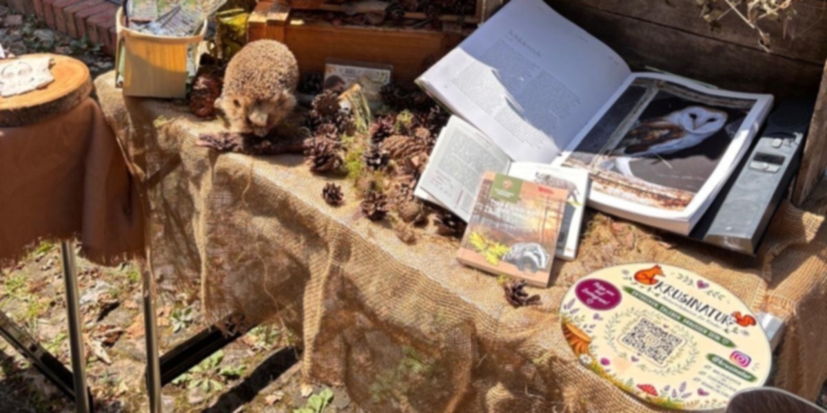 Station bei einem Parcours: Pr&auml;parierte Tiere und Naturmaterialien liegen mit Infos auf einem Tisch.