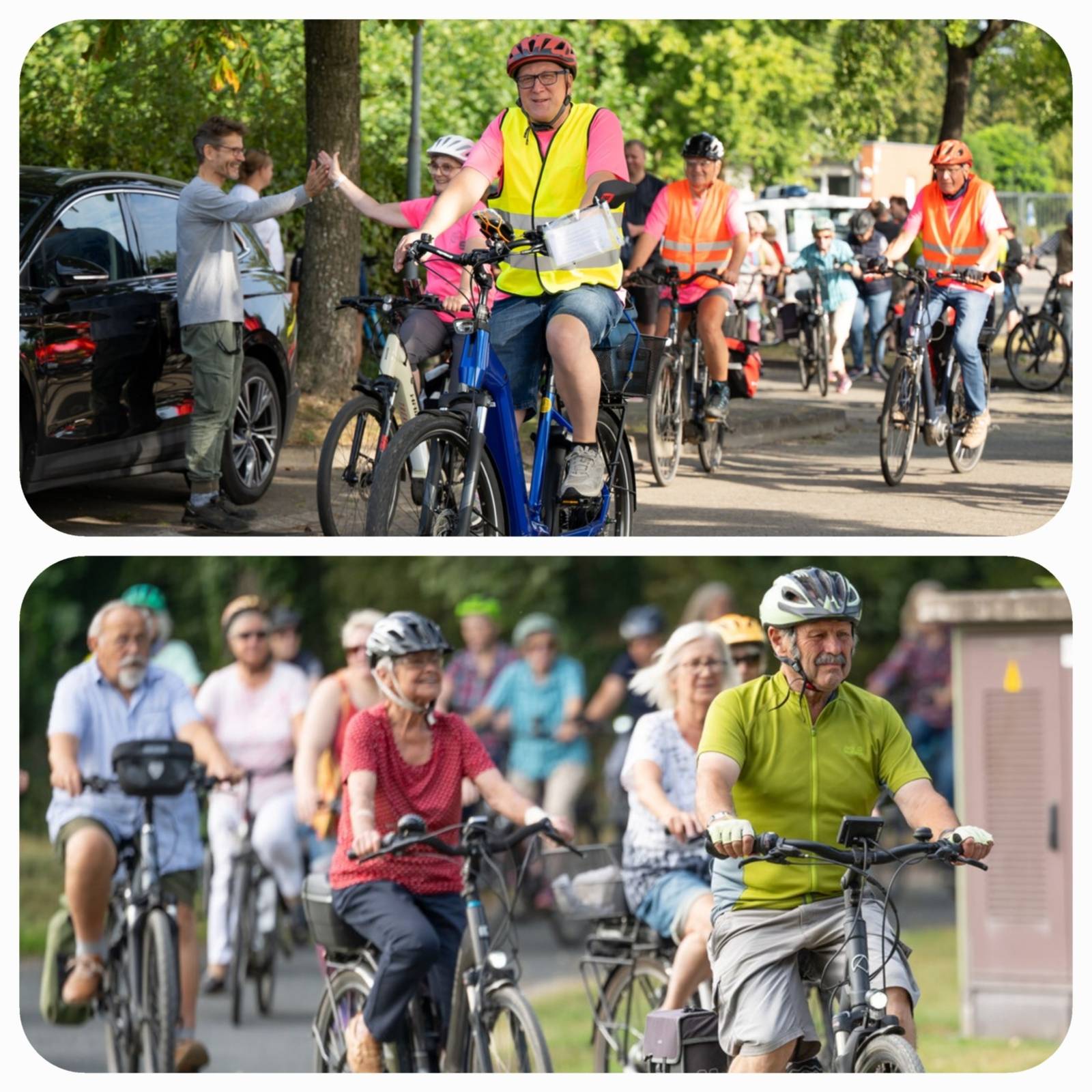Eine große Gruppe von Radfahrern fährt durch eine Umgebung mit vielen Bäumen.