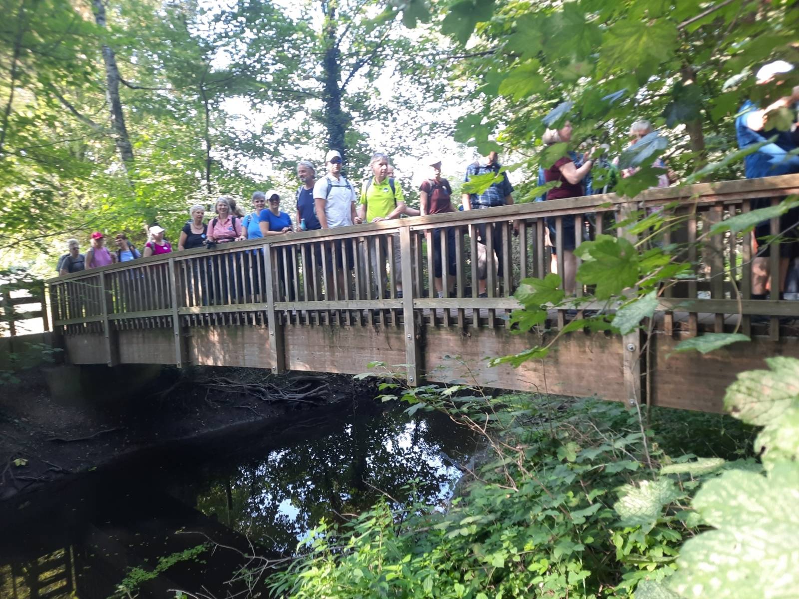 Eine Gruppe Wandernder geht über ein Holzbrücke umgeben von Bäumen.