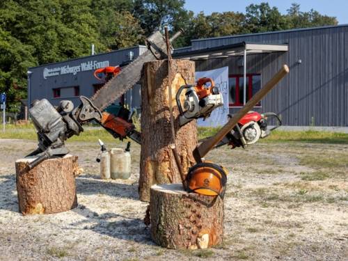 Unterschiedlich alte Kettensägen und eine Handsäge stecken in einem Baumstamm. Außerdem stehen ein Benzinkanister, eine Axt und ein Helm daneben. Im Hintergrund das Gebäude des Misburger Wald-Forum.