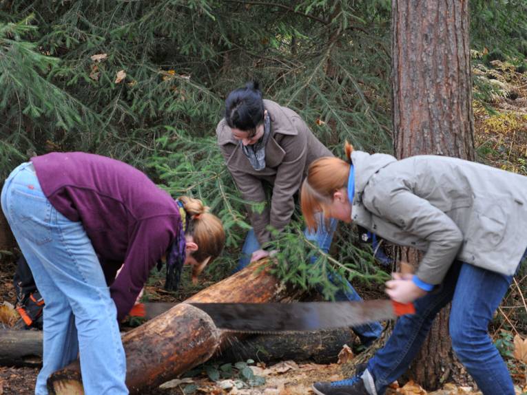 Teilnehmerinnen des Freiwilligen Ökologischen Jahres bei der Waldarbeit