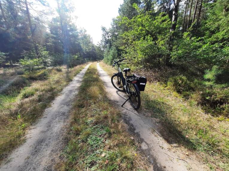 Ein einzelnes Fahrrad steht von der Sonne beschienen auf einem unbefestigten Weg im Wald.