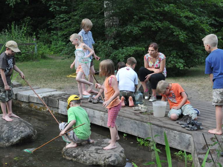 Kinder beim Keschern