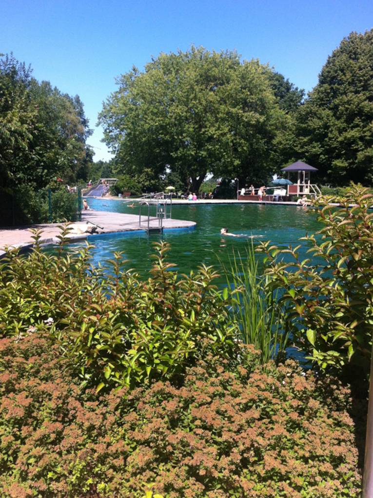 Das Naturbad Hainholz im Sommer