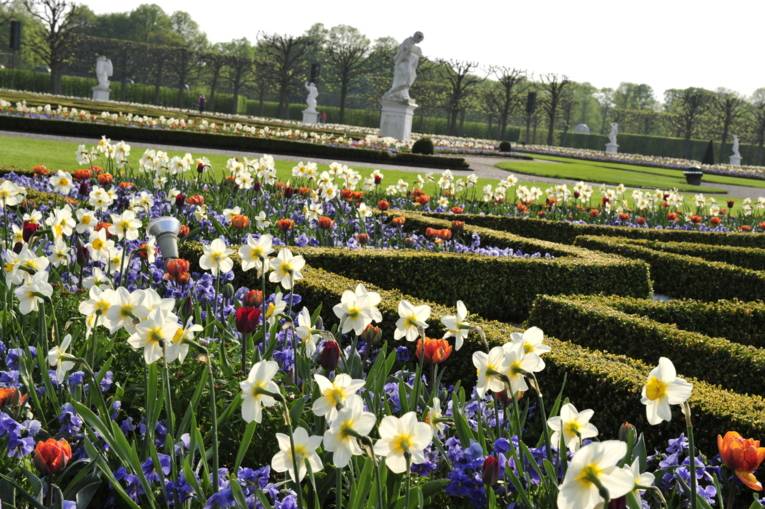 Parterre des Großen Gartens