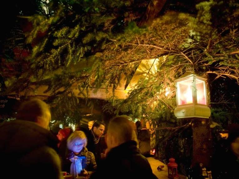 Eine Laterne beleuchtet eine Tanne im Wunschbrunnenwald, unter der ein Holzstand aufgebaut ist.