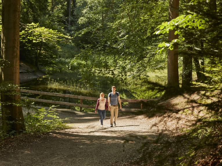 Niedersachsen. Klar. - Wandern im Deister