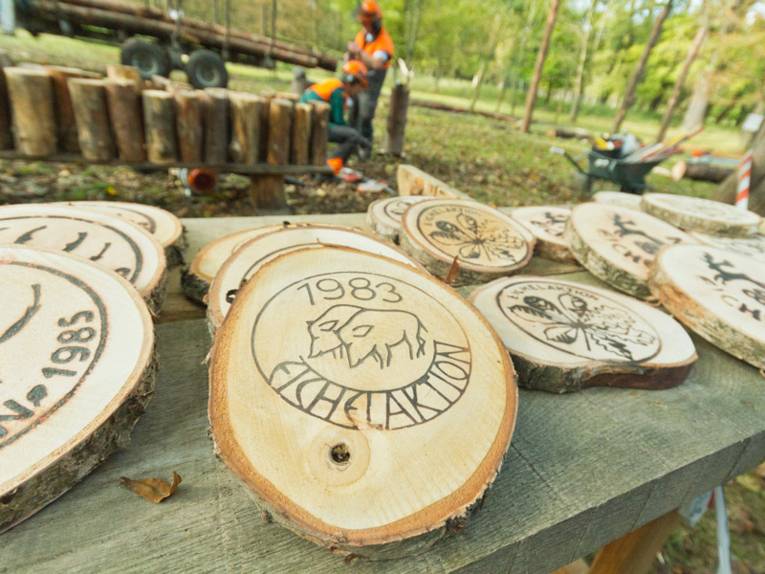 Baumscheiben, auf denen Motive eingebrannt sind