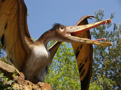 Ein Flugdinosaurier sitzt auf einem Baum oder Felsen und breitet seine Flügel aus. Ein Flugdinosaurier sitzt auf einem Baum oder Felsen und breitet seine Flügel aus.