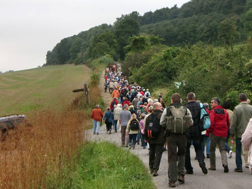 Eine Menschengruppe auf einer Wanderung an einem Wald entlang Eine Menschengruppe auf einer Wanderung an einem Wald entlang